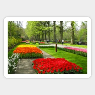 Keukenhof Tulip Festival, Holland Sticker